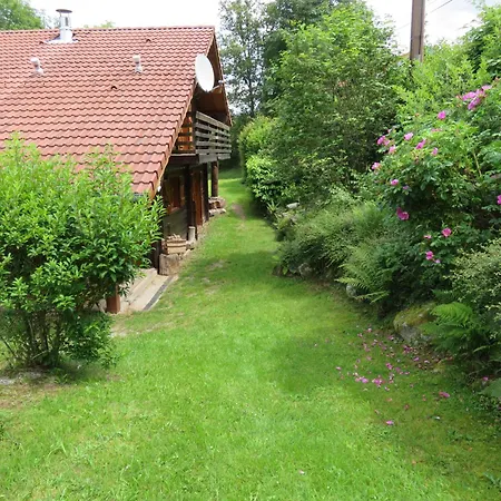 Holiday home Spacieux Pres De Gerardmer Avec Terrasse, Verger Et Activites Montagne - Fr-1-589-121 *
