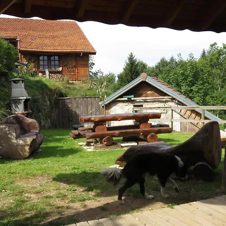 Holiday home Spacieux Pres De Gerardmer Avec Terrasse, Verger Et Activites Montagne - Fr-1-589-121 *