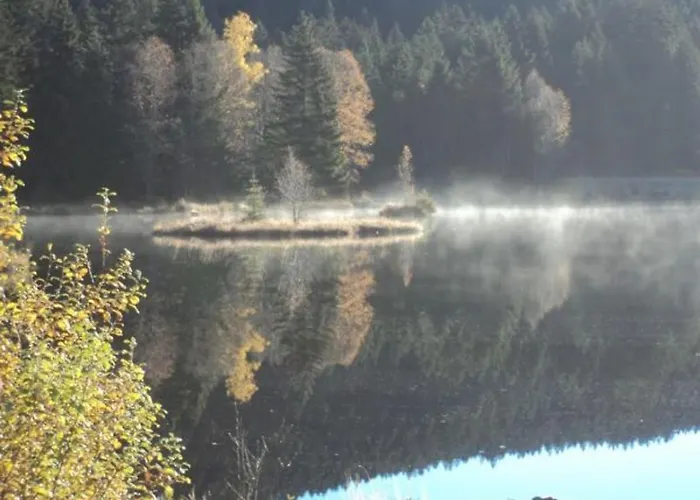 Spacieux Pres De Gerardmer Avec Terrasse, Verger Et Activites Montagne - Fr-1-589-121