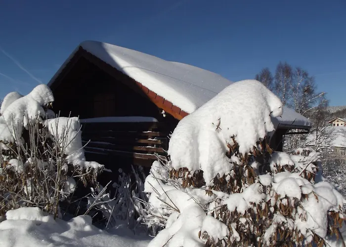 Prázdninový dům Spacieux Pres De Gerardmer Avec Terrasse, Verger Et Activites Montagne - Fr-1-589-121 *