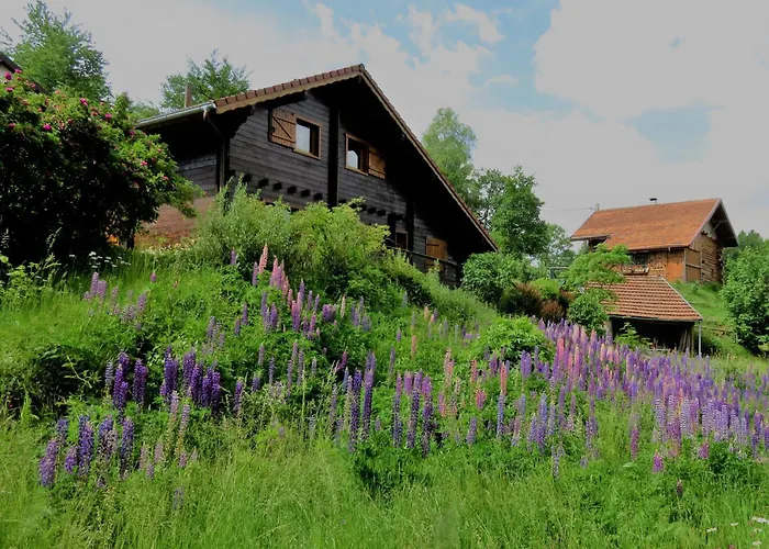 Spacieux Pres De Gerardmer Avec Terrasse, Verger Et Activites Montagne - Fr-1-589-121 Prázdninový dům *