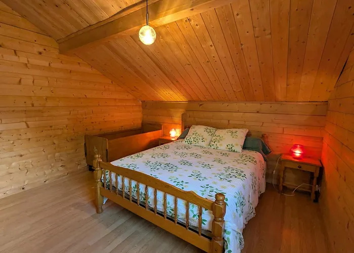 Prázdninový dům Spacieux Pres De Gerardmer Avec Terrasse, Verger Et Activites Montagne - Fr-1-589-121 *